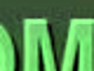 lonely puppy finds a new owner and home