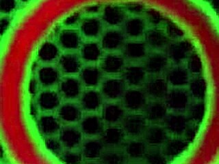 Austin Taylor's Seductive Performance