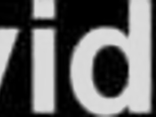 pink plush blows don xxx prince big black cock