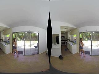 babysitter bonus with carolina sweets