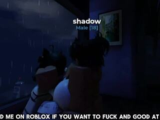 Watch this exciting verification video now