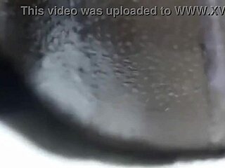 Amateur Homemade Anal Creampie Action. With Big Ass!