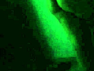 Morocha cola hermosa, what are you doing as a prostitute?