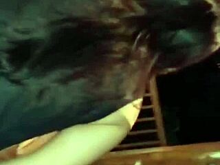 indonesian guy fucks plump widow with big round ass