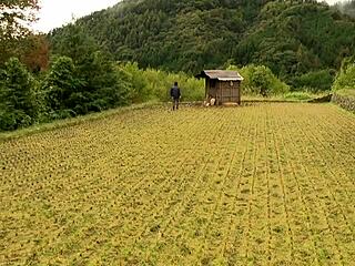 Date story in the area with asian wife