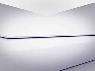 Do you want pov boss bitch shalina devine demanding threeway with lili charmelle?