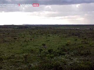 Essa novinha sabe o que fazer com essa rola, da uma olhada nisso! 🔥