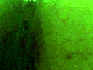 Hotwife explores new exotic Indian cock in passionate interracial encounter.