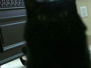 nicole ray rests her ass on april oneils tits so she can fuck her deep