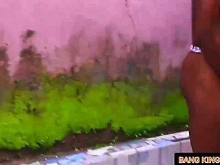 Ebony Amateur Pussy and Asshole Stretched POV for Neighbors