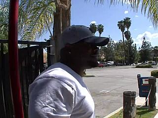 rhianna ryan discovers exciting new horizons