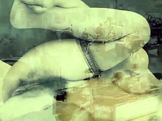 the wonderful world of vintage pornography interracial with asian blowjob