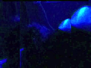 Cheating girlfriend caught on hidden camera