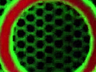 pawg nina kayy licks big clit and pussy in bisexual fun 😈