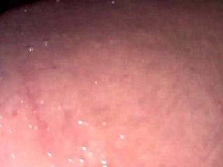 heart races fucking curvy colombian tourist creampie in hostel bathroom