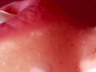 japanese wife sneaks blowjob and gulps cum while cheating on hubby