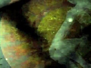 check out this steamy vintage hairy beaver erotic masterpiece... damn!