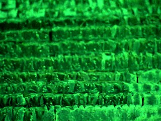 Latina Mom Deepthroats Cock in Lingerie and Stockings on Bed