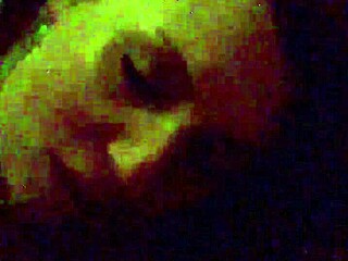 Stepsis maggie sucks cock post-party craving