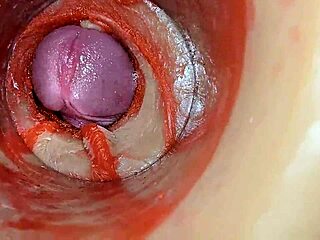 internal cam films huge cock deep creampie insemination in swollen tight wet pussy close-up