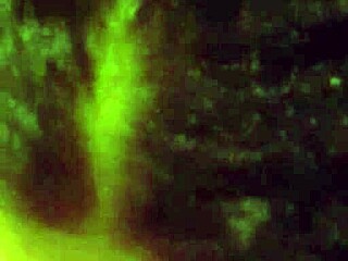 Ida Sucks Cock With Dirty Passion