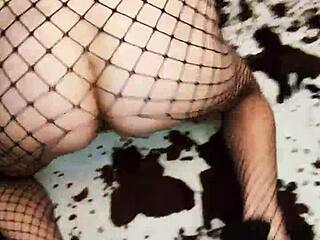 Amateur couple pounds milf ass hard in anal sex