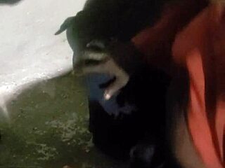 Verification video part one casual chat