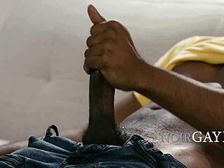 Intriguing-Neutral Peeping Neighbor Joins for a Wild Interracial Session