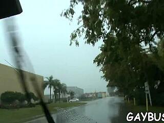 Dilettante Homosexual Sex