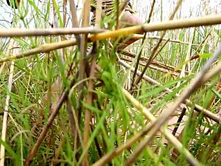 Ever seen tied-up anime hentai this wild?