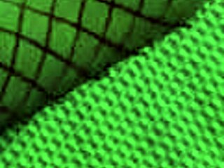 omg, chubby asian guy banging a hot femboy elf in 3d cartoon! 🔥