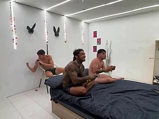 britney dutch dives into a latin gangbang studio for a wild ORGY EXPERIENCE with pierced nipple bunnies