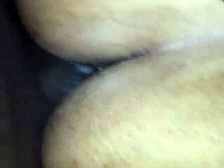 naija creampie pussy she likes my monster cock bent over