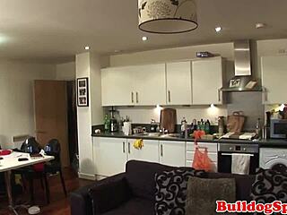 i got rimmed and assfucked