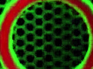 Sara Jay Buzzes Her Big Pussy Lips in Lingerie