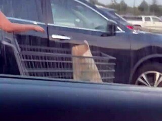 Cumming at the whole foods next to a milf
