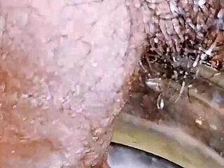 Look at this micro penis sissy pissing outdoors in random spots