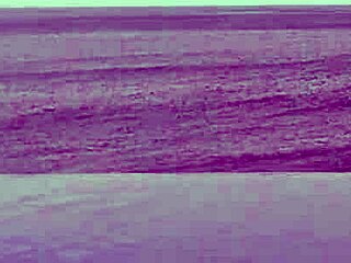 Stunning Asian college princess with ponytail shows off legs at infinity pool. Her small waist and beautiful feet shine by the water.