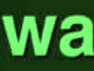 filming my cheating sister-in-law banging the neighbor in secret