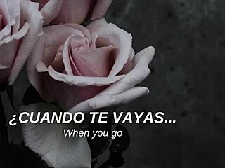 My Chemical Romance performs 'I Don't Love You' with Spanish subtitles.