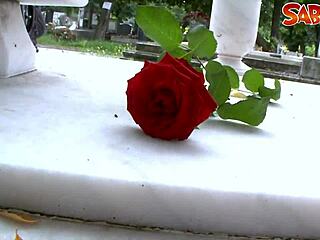 Hot Widow Experiences Intense Anal Assfucking With Blonde Blowjob And Deepthroat Cumshot In European Hardcore