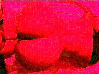 Fodendo Uma Gostosa Morena Da Raba Grande Conheci Na Praia In Intriguing POV Action