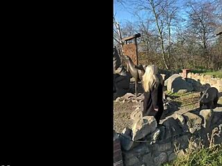 quiet girl at work shows big ass and tits at parties