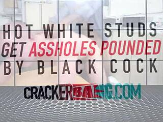 Bearded Hipster Hunk Gives Intense Gay Queer Blowjob to Black Stud