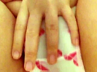 Hairy beaver gets some gentle attention