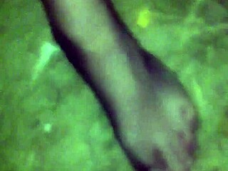 in the wood only with g-string and fishnet stockings