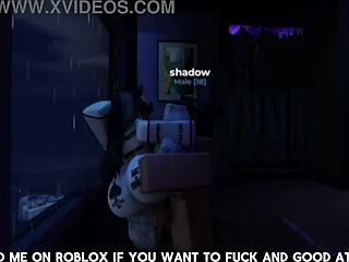 Watch this exciting verification video now