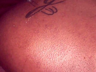 Candice Nicole, the oiled ebony MILF, gets raw dogged by Julius Ceazher's big black cock.