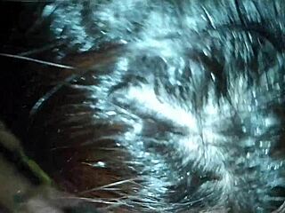 swing house calls to cabin goes more this time couldn't hold back removed condom what delight