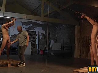 sebastian ties balls! 😈